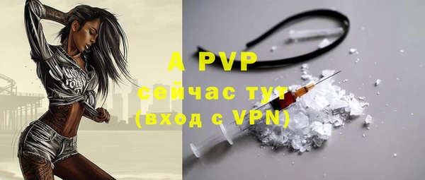 мяу мяу мука Михайлов