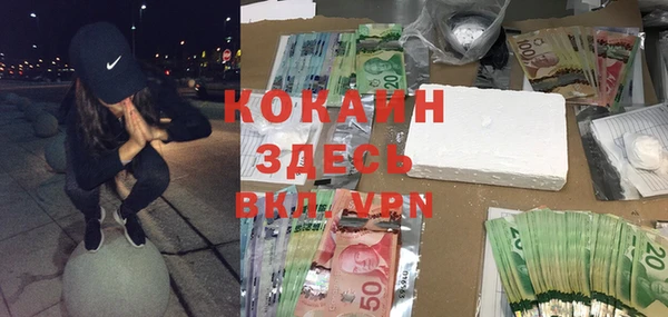 стаф Галич