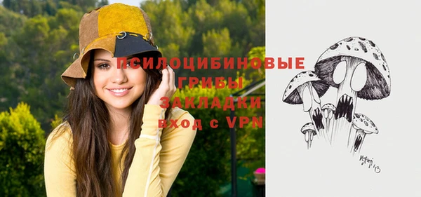 крисы Михайловка