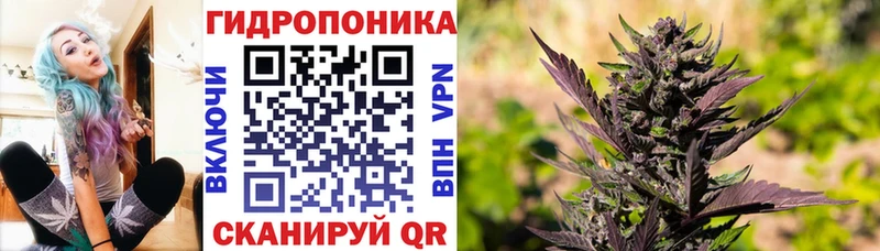 Конопля конопля  Жуковка 